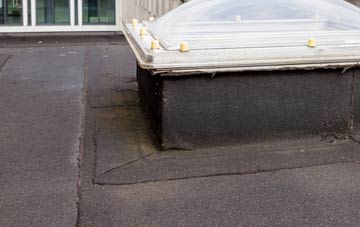 disadvantages of Orleton flat roofs