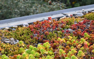 the cost of Orleton green roof installation