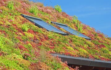 Orleton living roof systems
