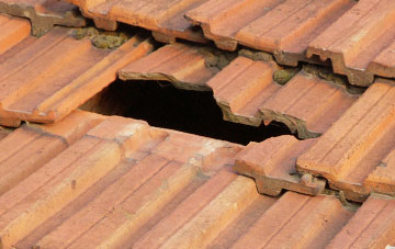 roof repair Orleton