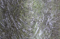 Orleton fibreglass roof work